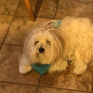 Meet your Posher, Kim